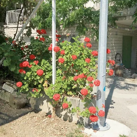 Apartmán Viganj 633a *